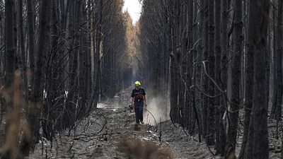 What tools does the EU have to fight wildfires? Are they enough?