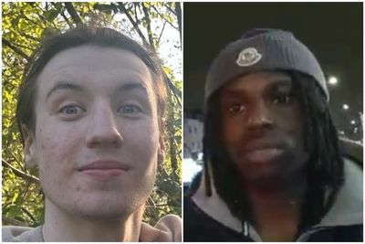 Police offer £20k reward in manhunt over fatal stabbing of Finbar Sullivan in Primrose Hill
