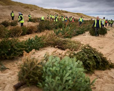 Are you part of a community environmental action group? We’d like to hear about your experience