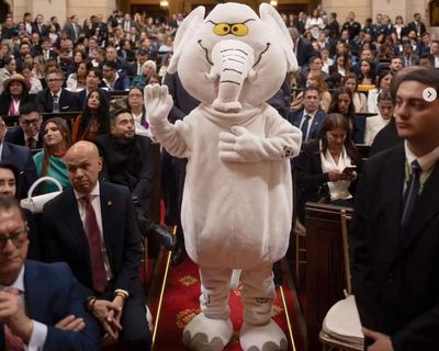 White elephant in the room: Colombia swears in costumed anti-corruption activist as senator