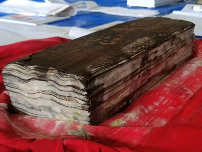 300-year-old handwritten manuscripts damaged in Assam floods: Experts battle fungal growth to save them