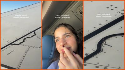 Woman on a flight asks if she should be worried. She looks out of the window and sees a screw sticking out of the wing: ‘the less you know the better’