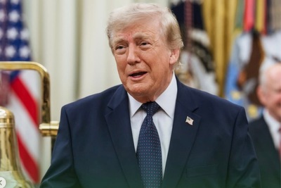 'This Will Destroy America': Trump Reportedly Vowed Immediate Challenge but Missed Court Deadline