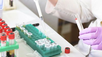Charitable wills in Spain reach record high amid growing cancer burden