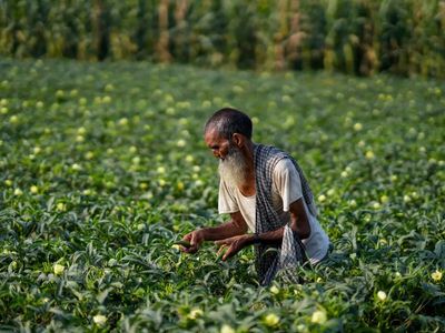 Government to consider farmers' views on ethanol policy: Shivraj Singh Chouhan