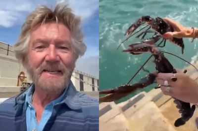 Noel Edmonds blasted by marine biologist for releasing lobsters into the sea