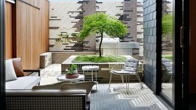 5 Reasons You Should Choose Big Plants for a Small Garden — It's the Modern Trick Landscape Designers Use That Actually Makes Outdoor Spaces Feel Larger