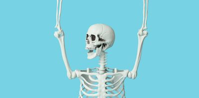 Bones are much more dynamic than scientists once believed – they even have a daily rhythm