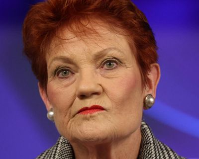 Pauline Hanson has knocked another brick out of our creaky political system. It’s not good for anybody