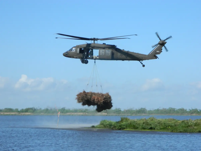 Louisiana's decades-old Christmas tree recycling program is quietly helping restore thousands of acres of wetlands