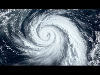 In 2005, trees in Georgia revealed hurricane secrets that had been hidden for more than two centuries