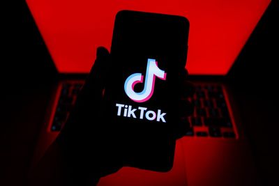 Fantastical TikTok figures draw backlash in NZ