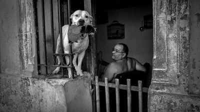 Most photographers visiting Cuba's capital focus on the Chevys and cigars. David Saxe took a very different approach: going after the blur, the shadows and the things nobody poses for