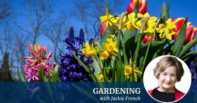 Why gardeners go slightly odd by the end of a long winter