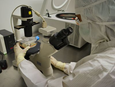 Salmonella Oranienburg Cases Reach 90 on the Federal Outbreak Table with No Food Source Named