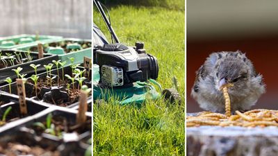 August gardening jobs: 7 essential tasks to get done this month to help your garden thrive