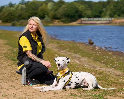 Open waters pose risk of drowning, injury and illness for dogs, UK campaigners warn