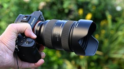 Sony finally breaks its silence on which third-party lenses work best with E-Mount – and dishes on the potential purchase of Tamron