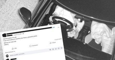 A point for $500: Canberra's dodgy underground demerit points trade