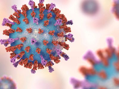 Chandipura virus claims 22 lives in Gujarat: Why children are most vulnerable, what parents should watch for, symptoms, treatment and government action