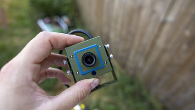 Green Feathers TV connectable bird box camera review: a compact cam that does exactly what it needs to