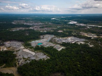 5 Amazon countries arrest hundreds in major crackdown on environmental crime