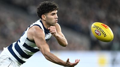 'Close to a miracle': Cats boss on Stengle's AFL career