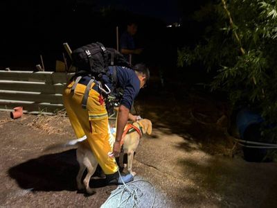 桃園消防局搜救犬April建功 精準搜索尋回9旬失聯婦人