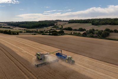 Why this year’s harvest could be the worst on record