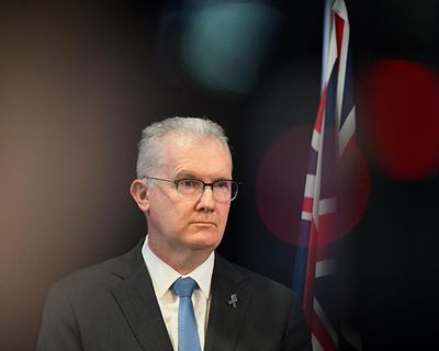 Afternoon Update: Labor plans migration cuts; extent of bird flu disaster revealed; and the secret of immortality