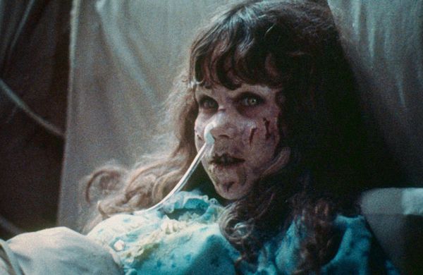 Linda Blair's kennel cited for overcrowding and violations after raid