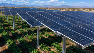 Arizona researchers raised solar panels above crops so one acre could grow food and electricity, while separate readings found skin temperatures nearly 21°F cooler under panels in Phoenix