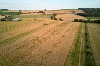 87-Year-Old Kent Potato Firm Wound Up as Britain Faces Growing Farm Crisis Due to Taxes, Drought and War