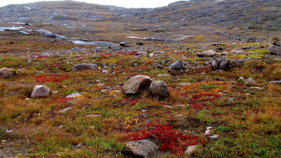 Canada’s Arctic has an unnamed island inside a lake, on an island, inside another lake, on Victoria Island, with no confirmed record of anyone reaching it