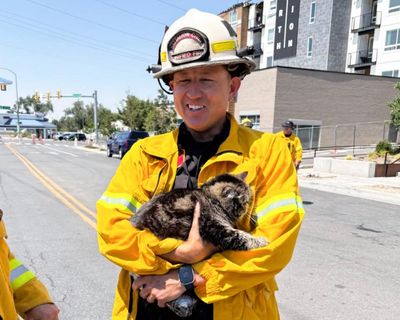 Toast the cat survives Utah apartment fire by sheltering in closet for three days