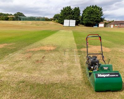 Clicky Ponting, viral catches, and the strange new era of amateur cricket streams