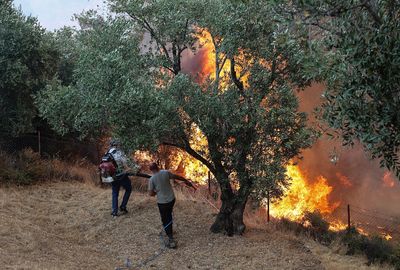 Lesbos is burning. I’m not there
