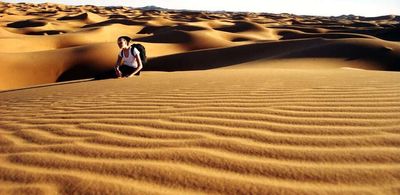 In 1971, Algeria began planting a 1,500-kilometre, 20-kilometre-wide “Green Dam” to help combat desertification across its semi-arid high plateaus