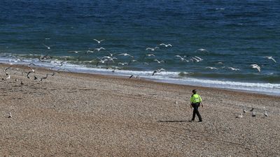 Man arrested after woman in her 20s 'raped on Brighton beach'