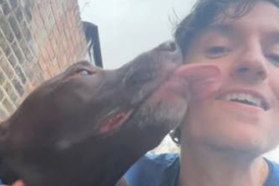 Greg James speaks of ‘pain’ as he returns to BBC Radio 1 after death of dog Barney
