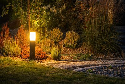Why Are More Gardeners Designing Around Evening Use?
