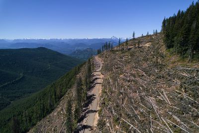 British Columbia is logging its last old growth. Protesters are sleeping in the road to stop it