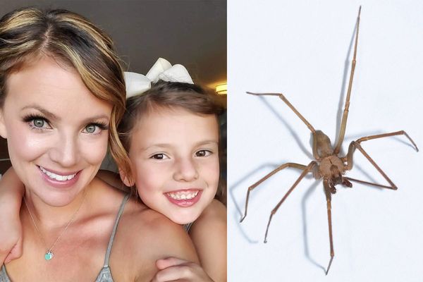 Kansas woman battles for her life after she was bitten by a spider