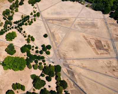 England’s climate is changing and our planting must change with it