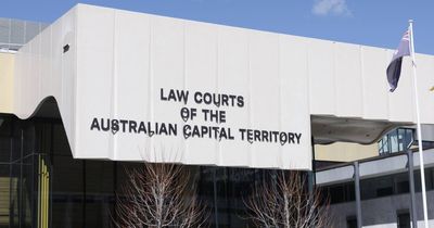Department of Home Affairs employee 'deliberate and cruel' in bat attack: magistrate