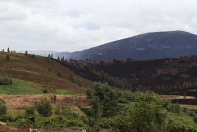 Wildfire cordon around village could be lifted on Friday, says fire service