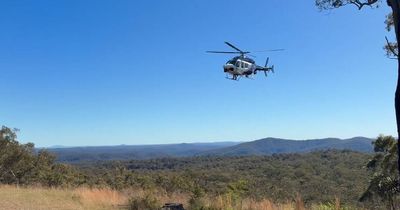 Missing bushwalker found alive after major search of state forest