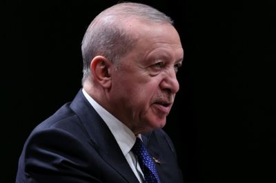 Turkish MPs back limited amnesty for Kurdish militants
