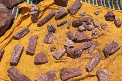 Dinosaur fossils unearthed