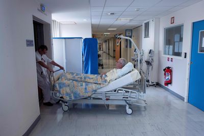 A Vaccine Aimed at Preventing Pancreatic Cancer Cleared Its First Human Safety Test in 20 High-Risk Adults